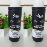 MAGIC COLOR TRADICIONAL 500ML